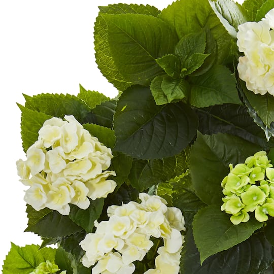 2.5ft. Potted White & Green Hydrangea Plant